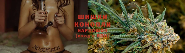 крисы Карпинск