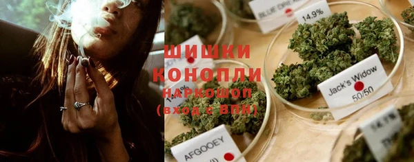 крисы Карпинск