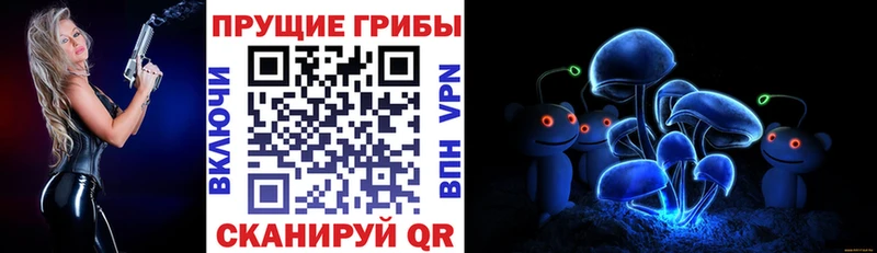 Купить где  Сафоново  Псилоцибиновые грибы Psilocybine cubensis 