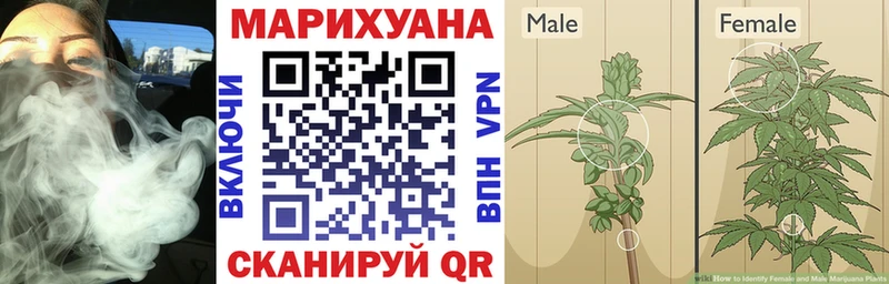 Купить где  Сафоново  МАРИХУАНА MAZAR 